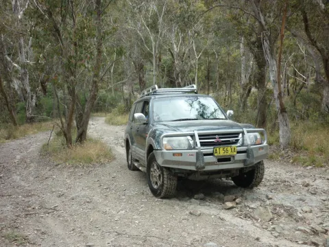 Duncan 1
